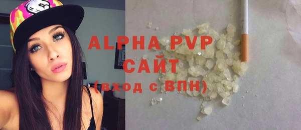 PSILOCYBIN Бородино