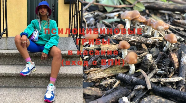 твердый Бугульма
