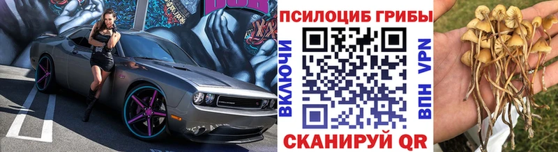 Псилоцибиновые грибы Psilocybe  KRAKEN вход  Десногорск 