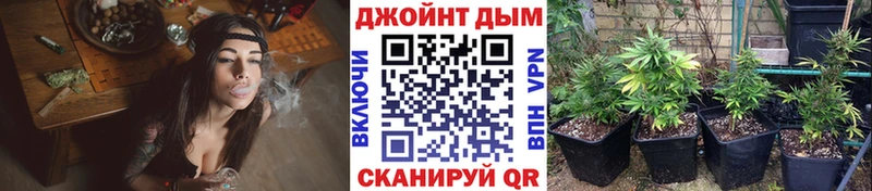 наркота  Десногорск  Бошки марихуана марихуана 